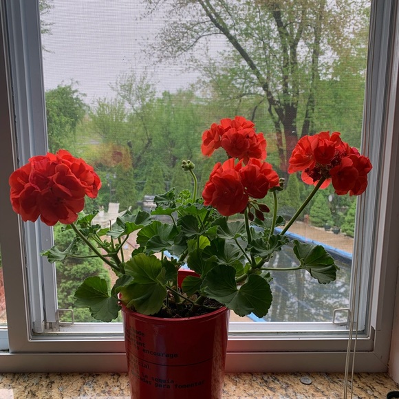 Closet QR Code - Picture 6 of 15